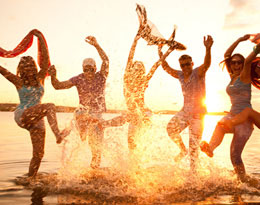 Insurance Domestic Insurance Domestic